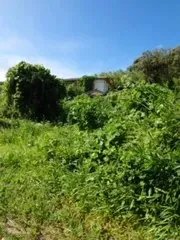 【施工例】前庭及び家屋への進入路整備工事